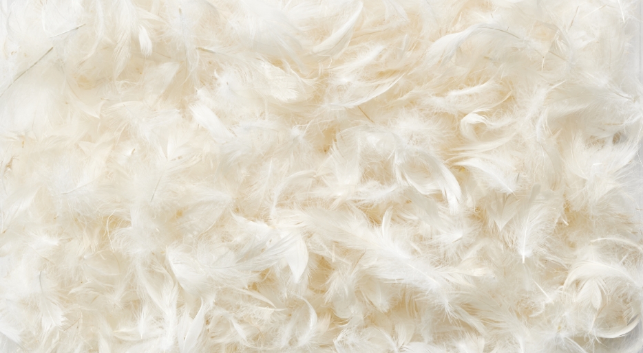 羽毛クッションスモールフェザー 100％